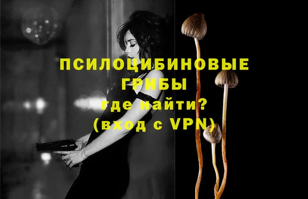 mdpv Алексин