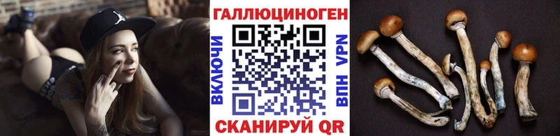 купить наркотики цена  Льгов  Галлюциногенные грибы GOLDEN TEACHER 